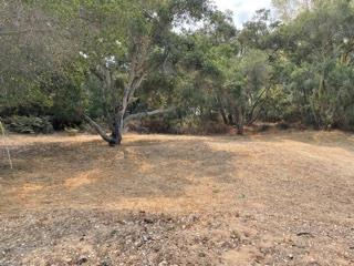 7190 Azzelio Way, Salinas, California 93907, ,Land,For Sale,7190 Azzelio Way,ML81977745