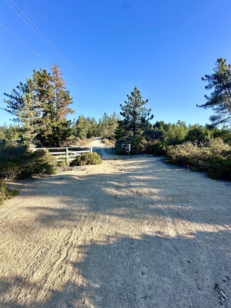 10001 West Drive, Felton, California 95018, ,Land,For Sale,10001 West Drive,ML81977847