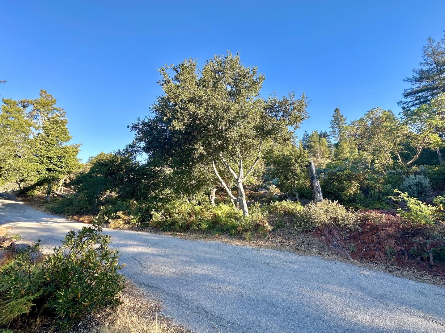 10001 West Drive, Felton, California 95018, ,Land,For Sale,10001 West Drive,ML81977847