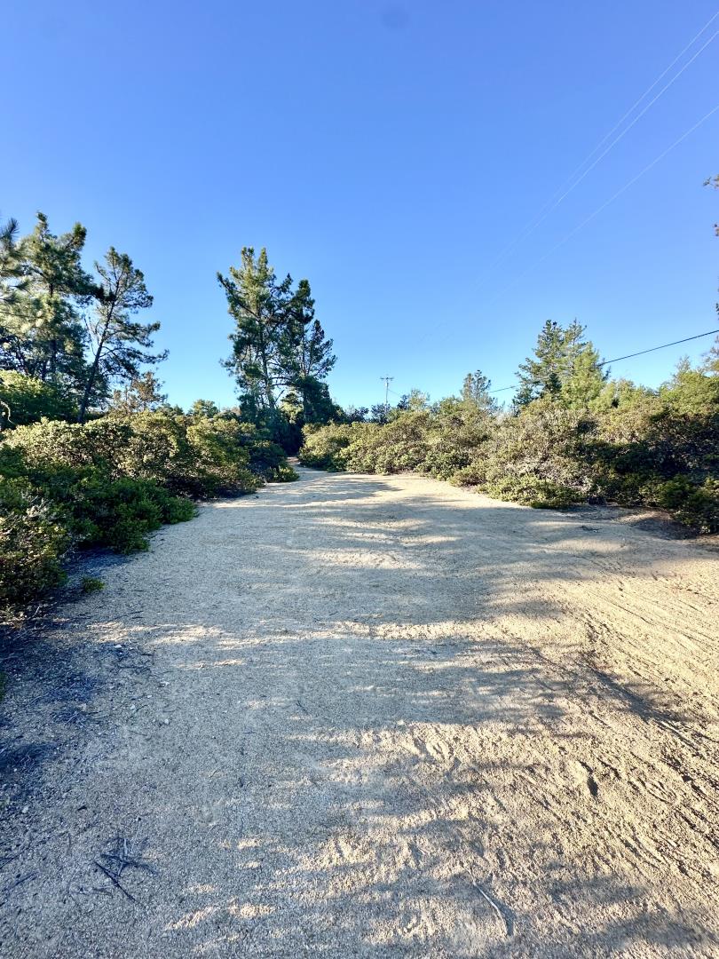 10001 West Drive, Felton, California 95018, ,Land,For Sale,10001 West Drive,ML81977847