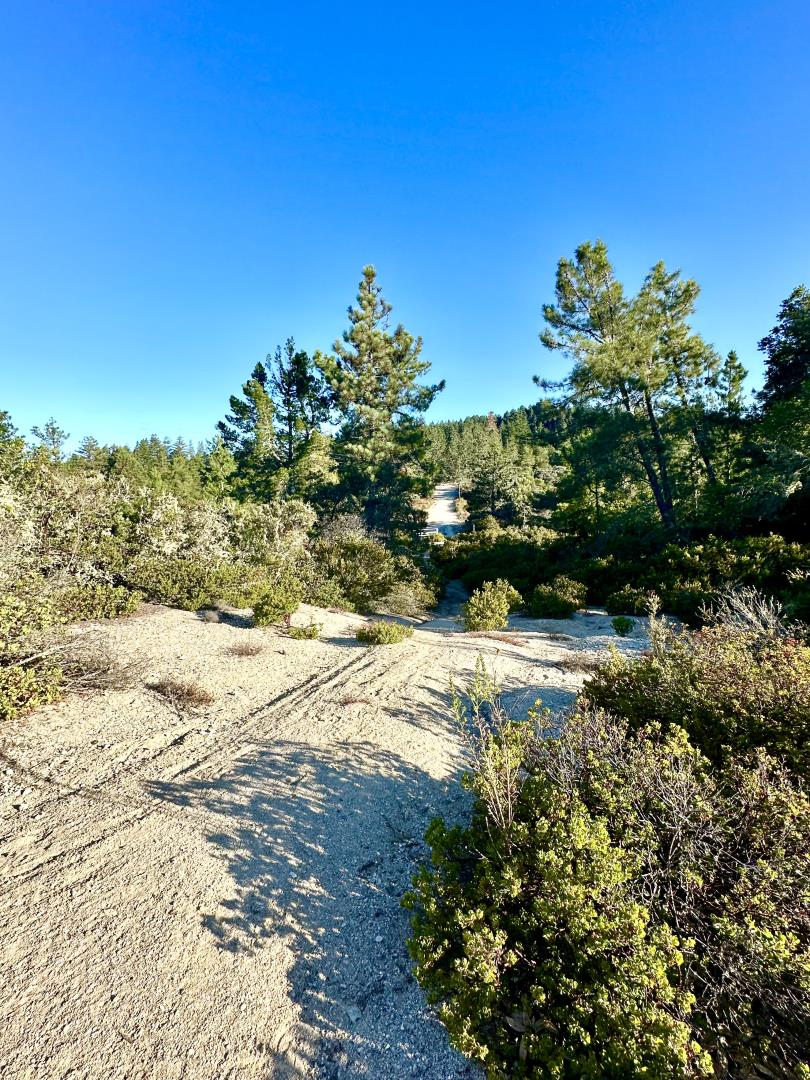 10001 West Drive, Felton, California 95018, ,Land,For Sale,10001 West Drive,ML81977847
