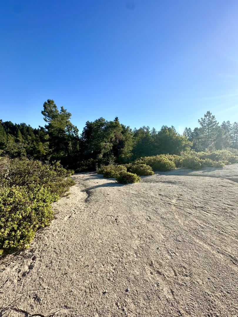 10001 West Drive, Felton, California 95018, ,Land,For Sale,10001 West Drive,ML81977847