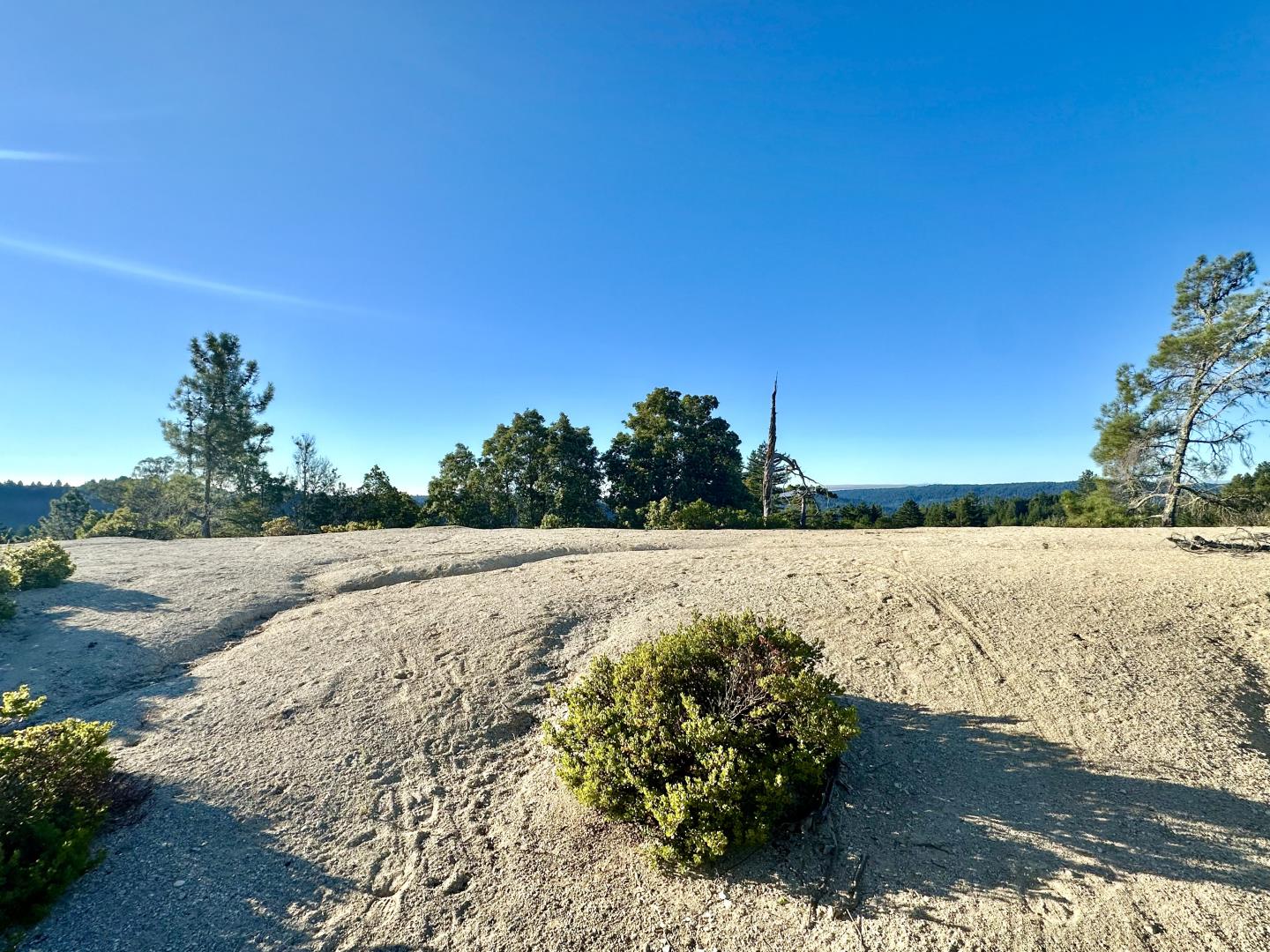 10001 West Drive, Felton, California 95018, ,Land,For Sale,10001 West Drive,ML81977847