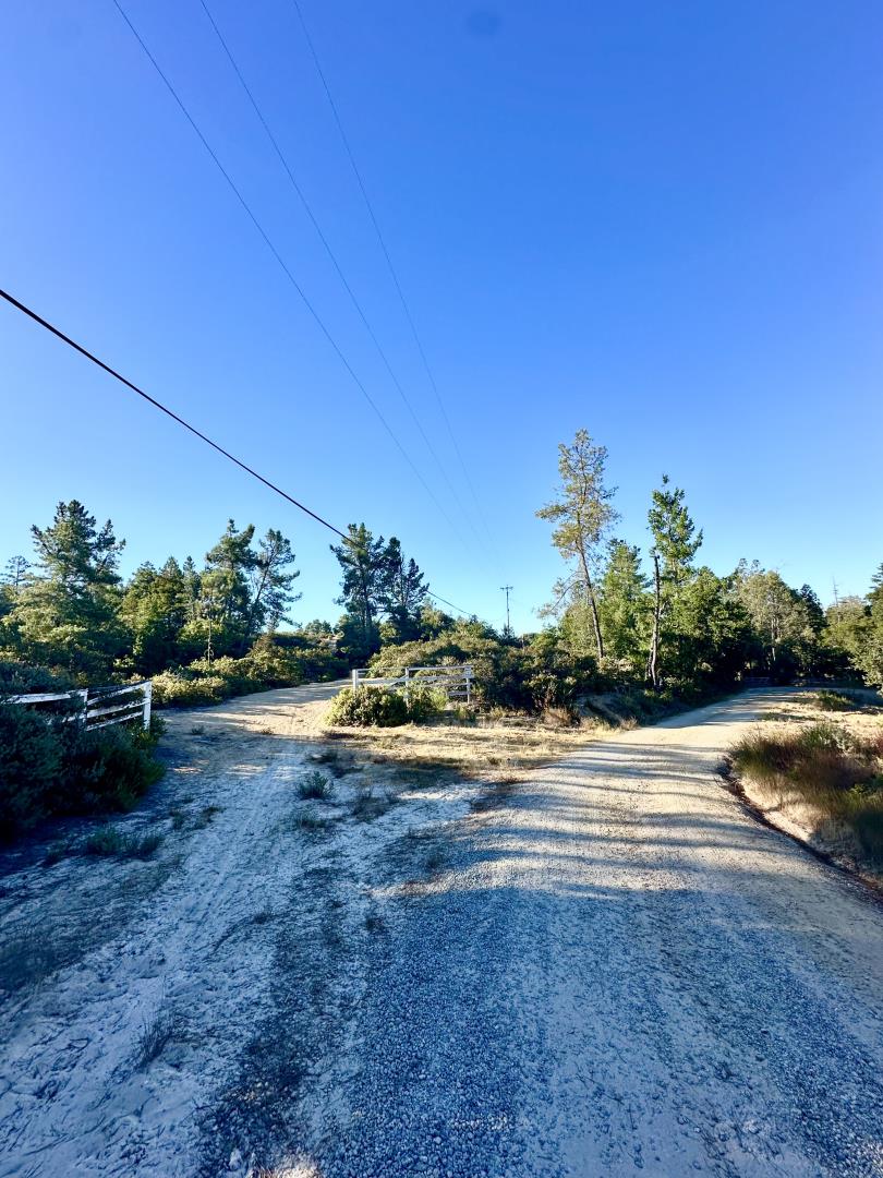 10001 West Drive, Felton, California 95018, ,Land,For Sale,10001 West Drive,ML81977847