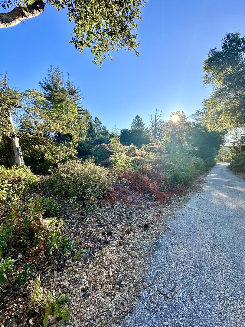 10001 West Drive, Felton, California 95018, ,Land,For Sale,10001 West Drive,ML81977847