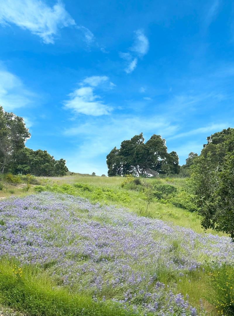 8 Corral Run, Carmel, California 93923, ,Land,For Sale,8 Corral Run,ML81977848