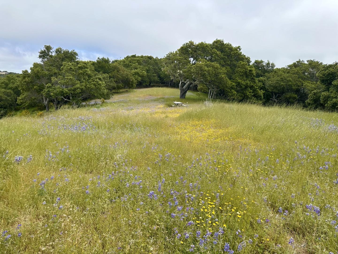 8 Corral Run, Carmel, California 93923, ,Land,For Sale,8 Corral Run,ML81977848