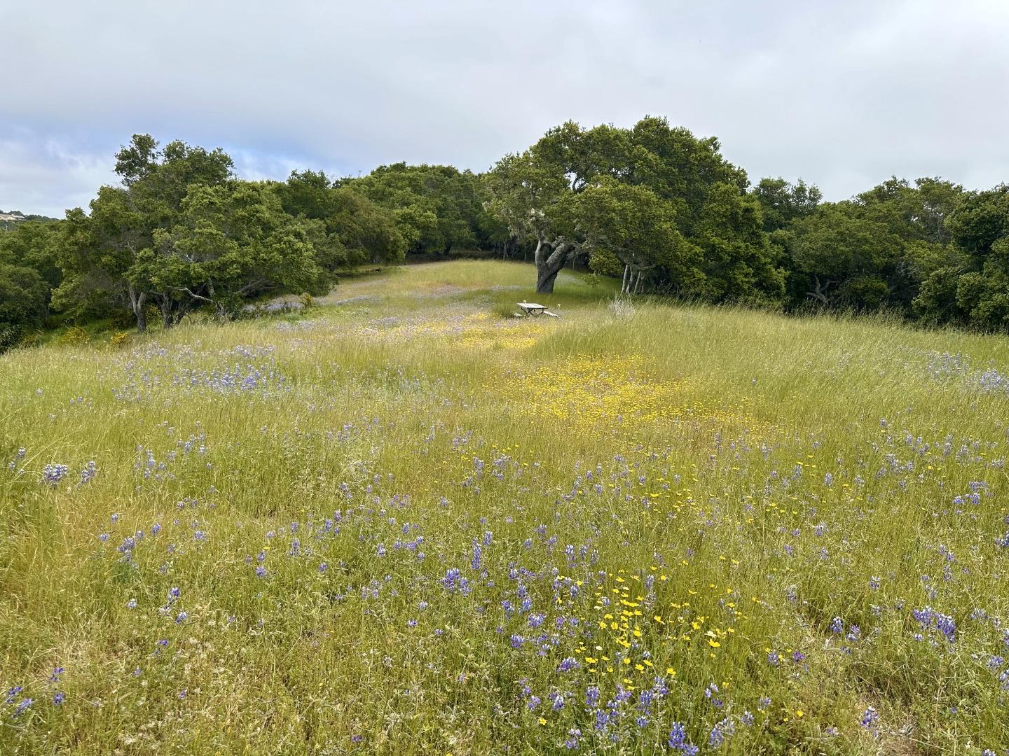 Detail Gallery Image 9 of 16 For 8 Corral Run, Carmel,  CA 93923 - – Beds | – Baths