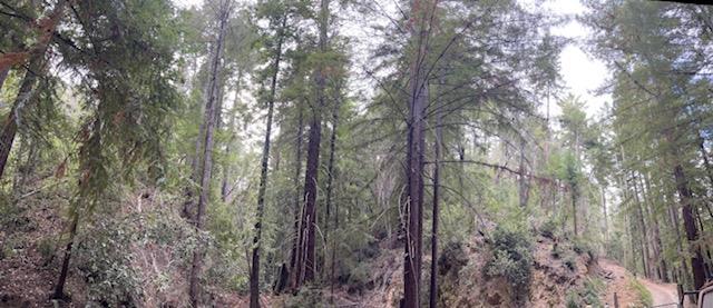 Detail Gallery Image 2 of 2 For 0 Bear Creek Rd, Los Gatos,  CA 95033 - – Beds | – Baths