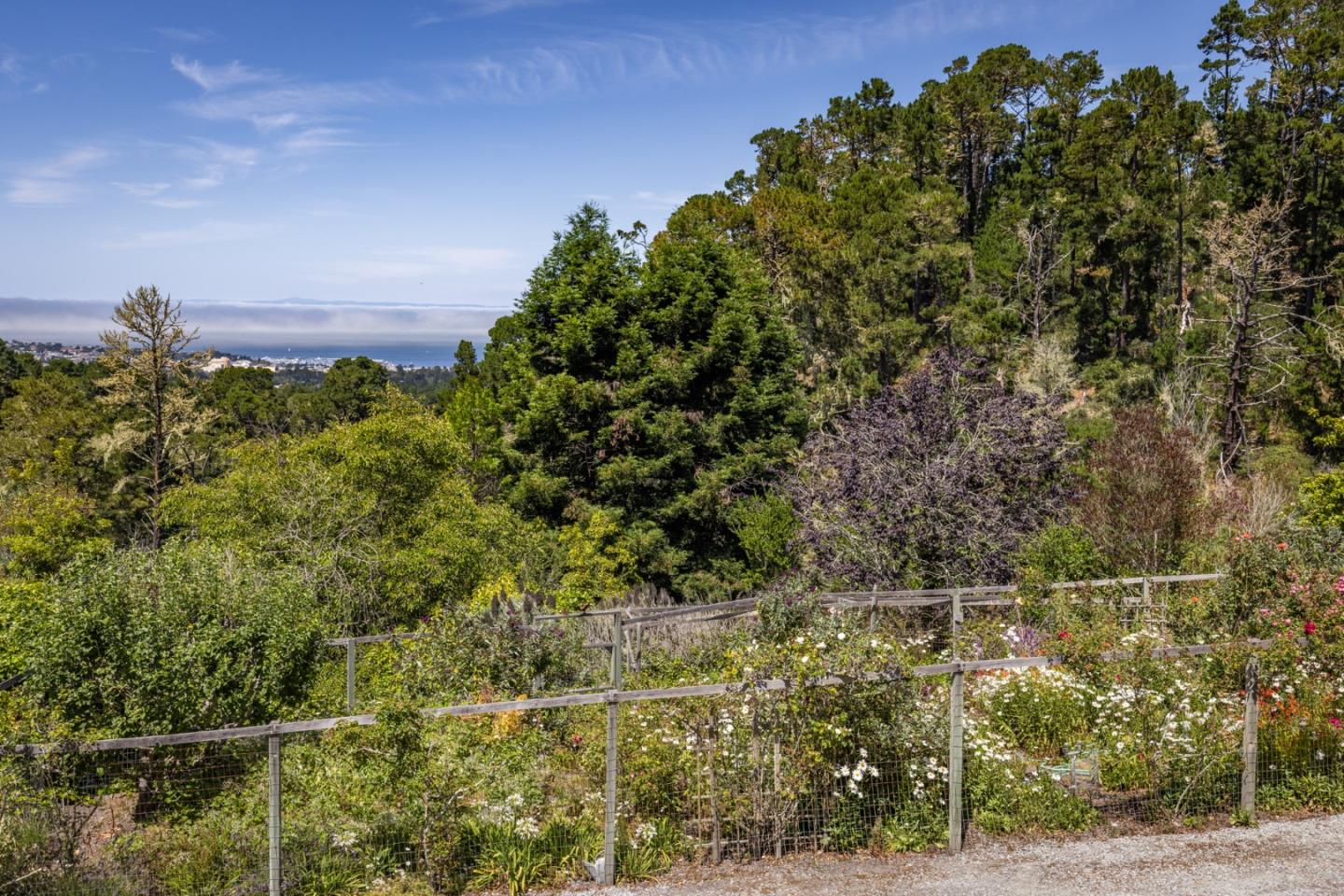 Detail Gallery Image 30 of 35 For 540 Aguajito Rd, Carmel,  CA 93923 - 2 Beds | 2 Baths