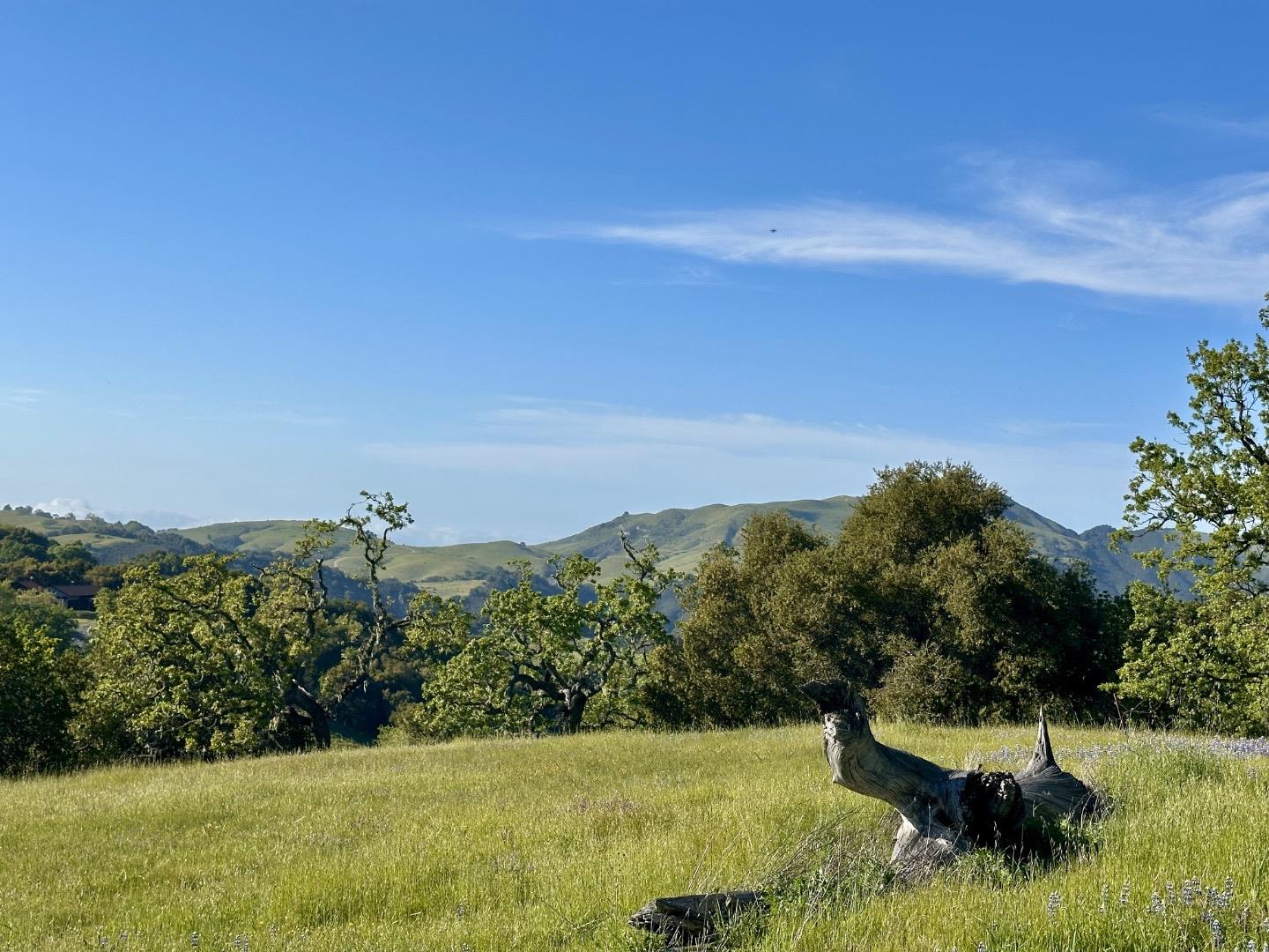 Detail Gallery Image 11 of 25 For 8 Touche Pass, Carmel,  CA 93923 - – Beds | – Baths