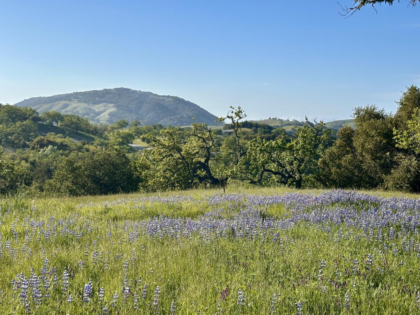 Detail Gallery Image 12 of 25 For 8 Touche Pass, Carmel,  CA 93923 - – Beds | – Baths