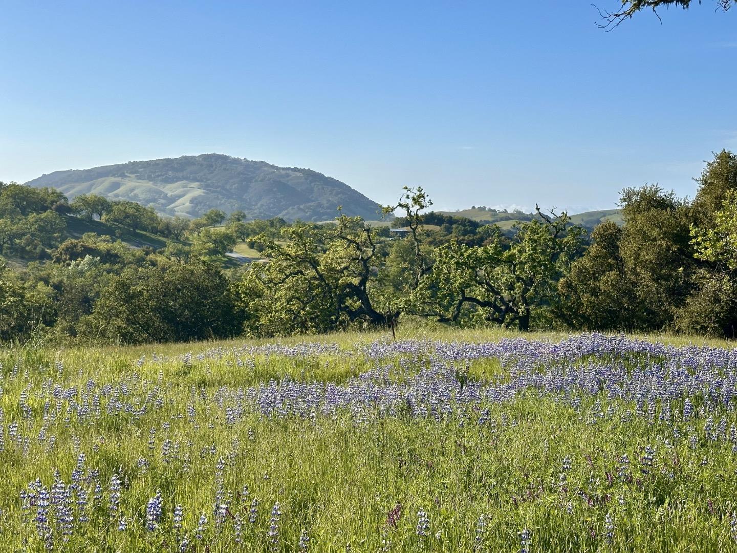 Detail Gallery Image 12 of 28 For 8 Touche Pass, Carmel,  CA 93923 - – Beds | – Baths