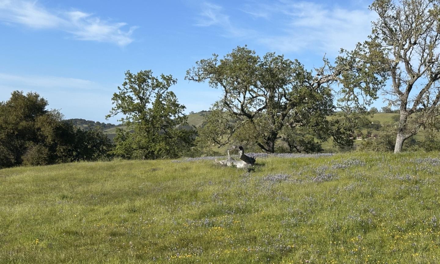 Detail Gallery Image 17 of 25 For 8 Touche Pass, Carmel,  CA 93923 - – Beds | – Baths