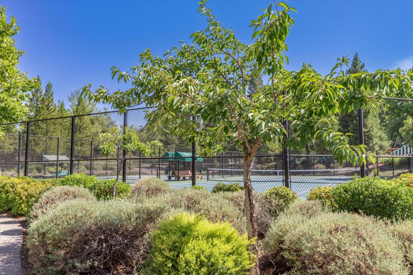 Detail Gallery Image 60 of 68 For 2460 Muirfield Way, Gilroy,  CA 95020 - 5 Beds | 4/1 Baths