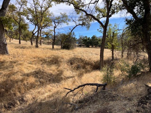 Detail Gallery Image 15 of 37 For 20665 Cachagua Rd, Carmel Valley,  CA 93924 - – Beds | – Baths