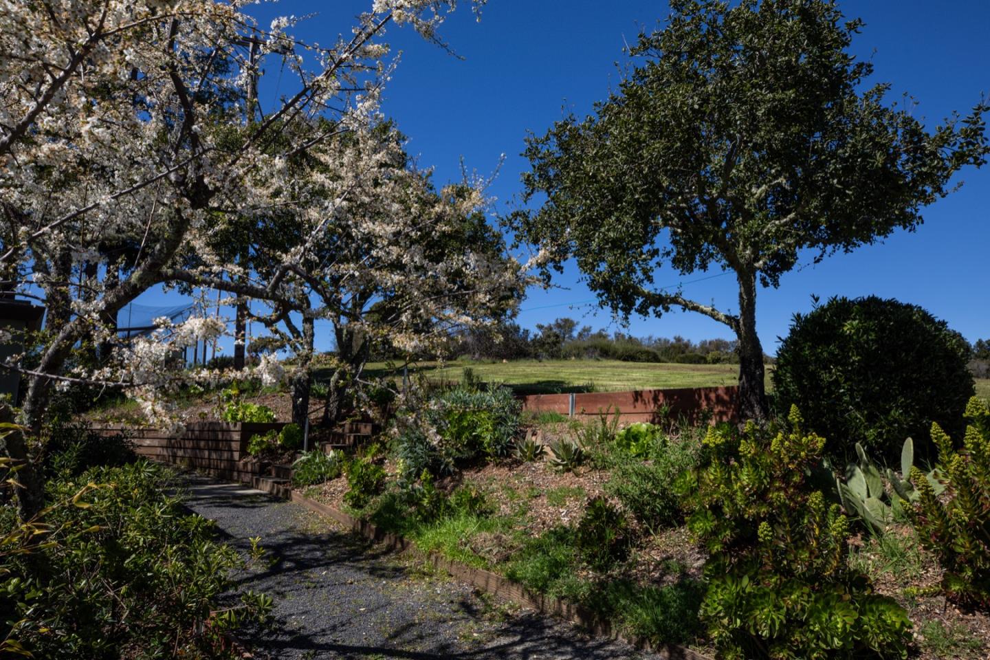 Detail Gallery Image 27 of 35 For 3810 Page Mill Rd, Los Altos,  CA 94022 - 4 Beds | 3/1 Baths