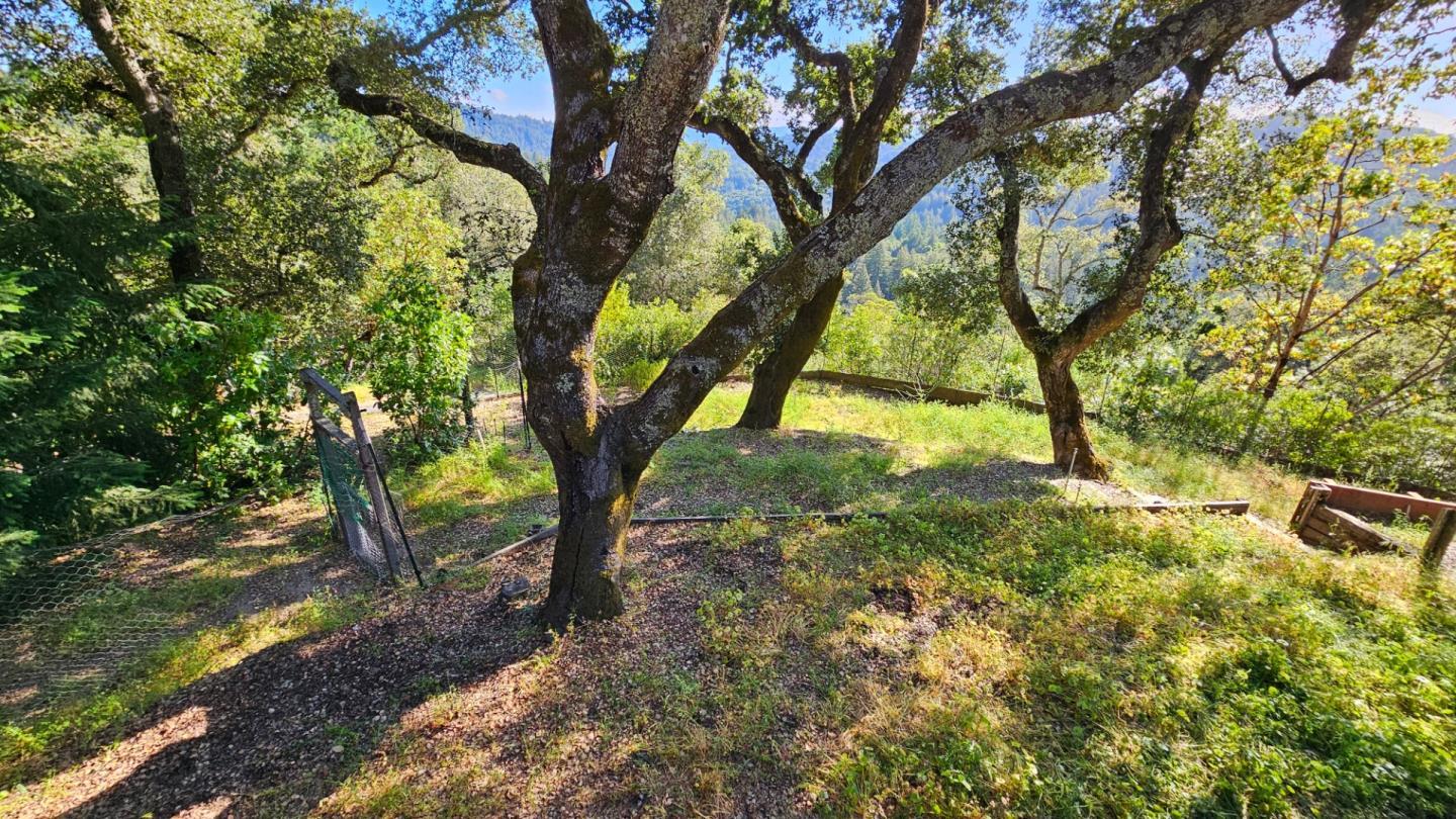 Detail Gallery Image 43 of 49 For 25333 Hutchinson Rd, Los Gatos,  CA 95033 - 4 Beds | 3/1 Baths