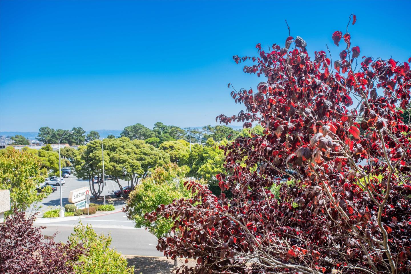 Detail Gallery Image 39 of 41 For 2230 Gellert Blvd #3209,  South San Francisco,  CA 94080 - 2 Beds | 2 Baths