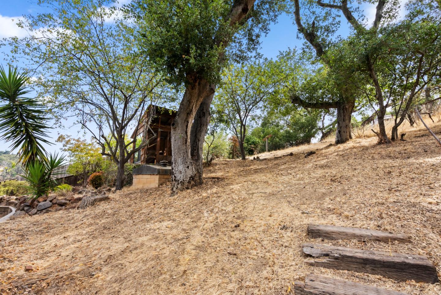 Detail Gallery Image 43 of 55 For 162 Madera Ave, San Carlos,  CA 94070 - 3 Beds | 2/1 Baths