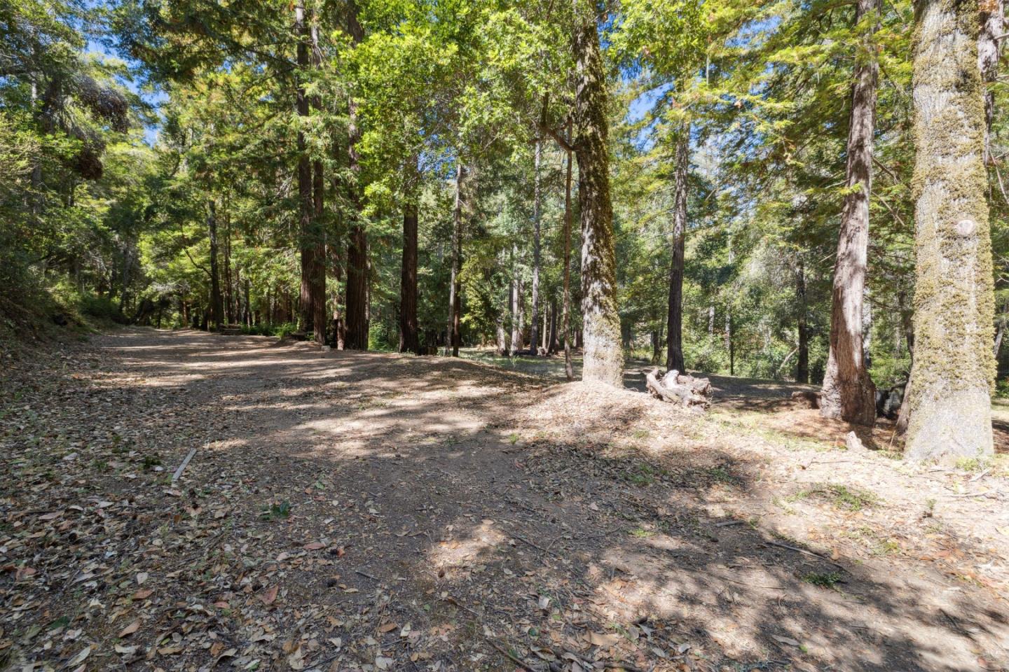 Detail Gallery Image 23 of 39 For 18880 Highway 9, Boulder Creek,  CA 95006 - – Beds | – Baths