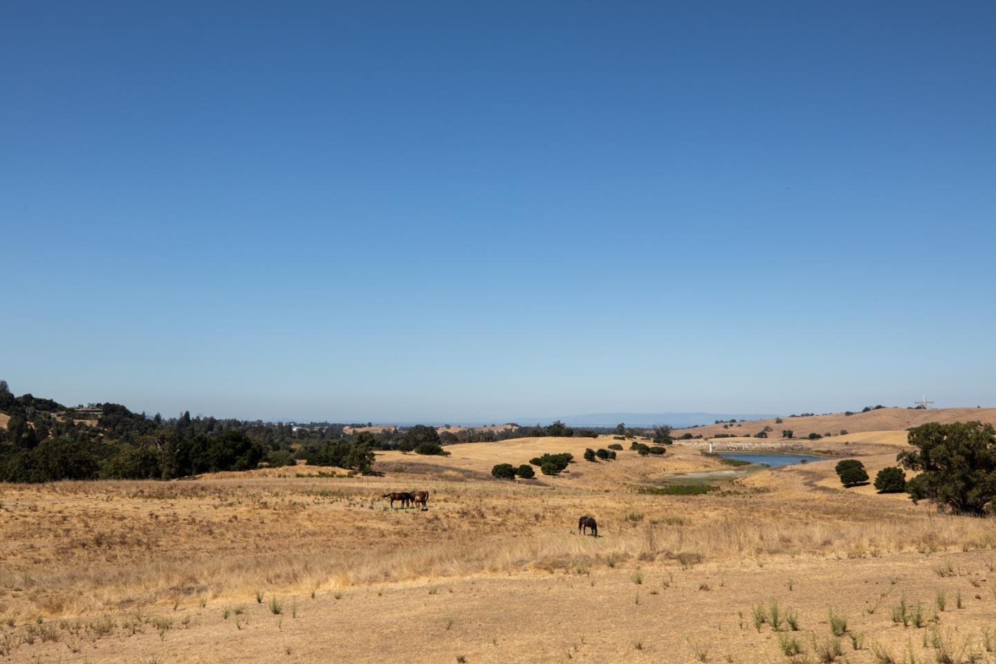 Detail Gallery Image 32 of 57 For 5 Arastradero Rd, Portola Valley,  CA 94028 - 6 Beds | 5 Baths