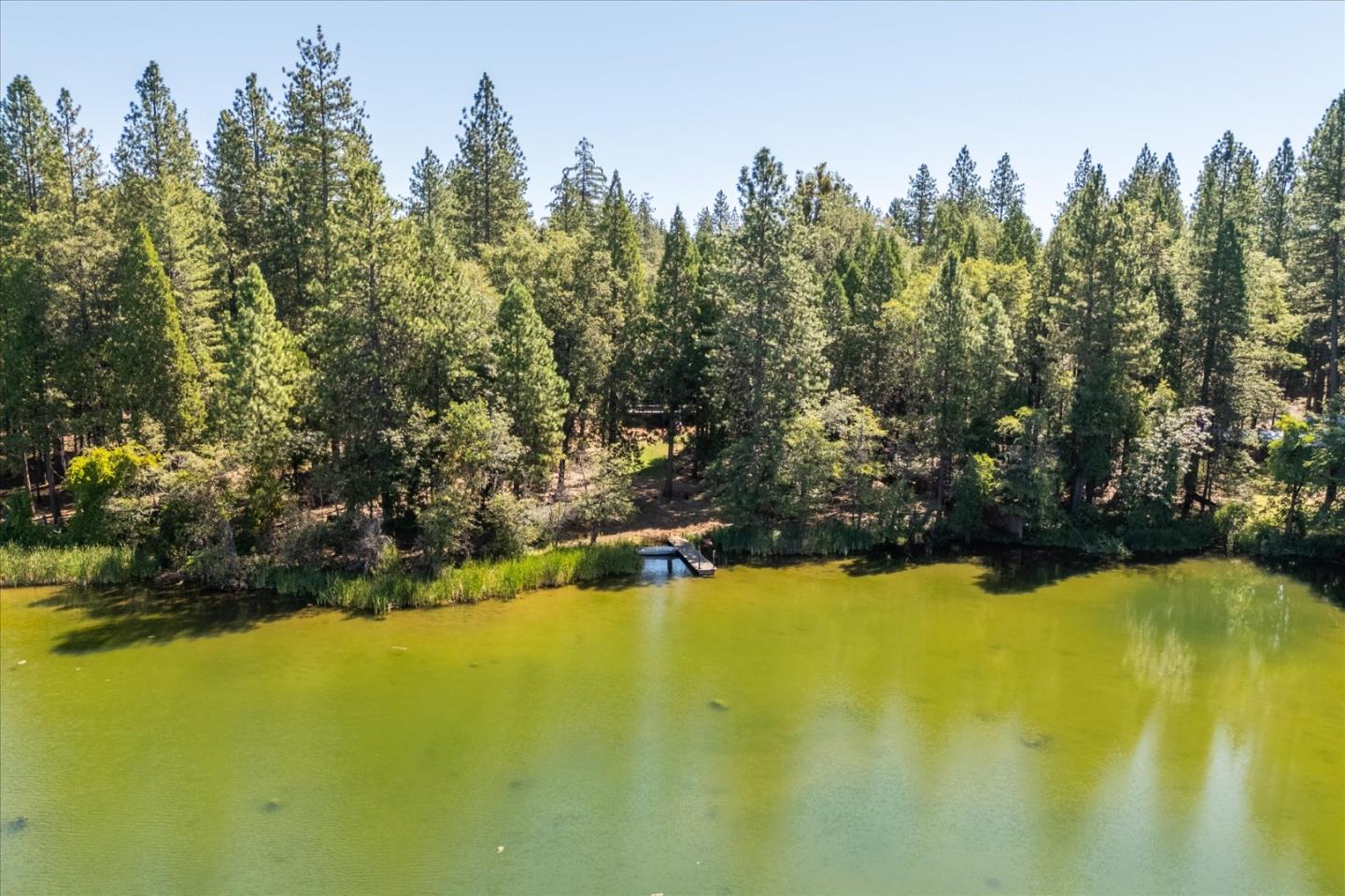 Detail Gallery Image 85 of 92 For 31231 Lake Ridge Dr, Shingletown,  CA 96088 - 3 Beds | 4/1 Baths