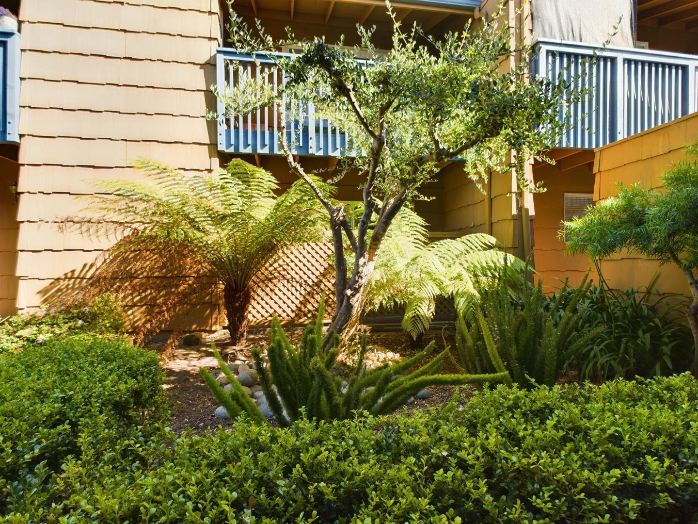 Detail Gallery Image 21 of 24 For 3162 Eucalyptus St #40,  Marina,  CA 93933 - 2 Beds | 1 Baths