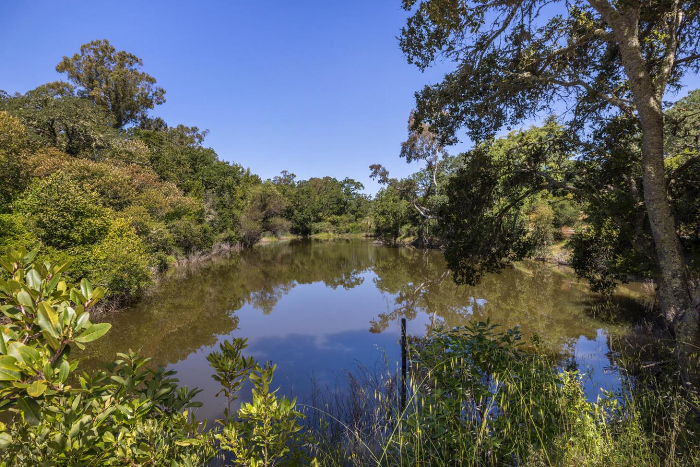 Detail Gallery Image 48 of 49 For 143 Lake Rd, Portola Valley,  CA 94028 - 3 Beds | 2 Baths