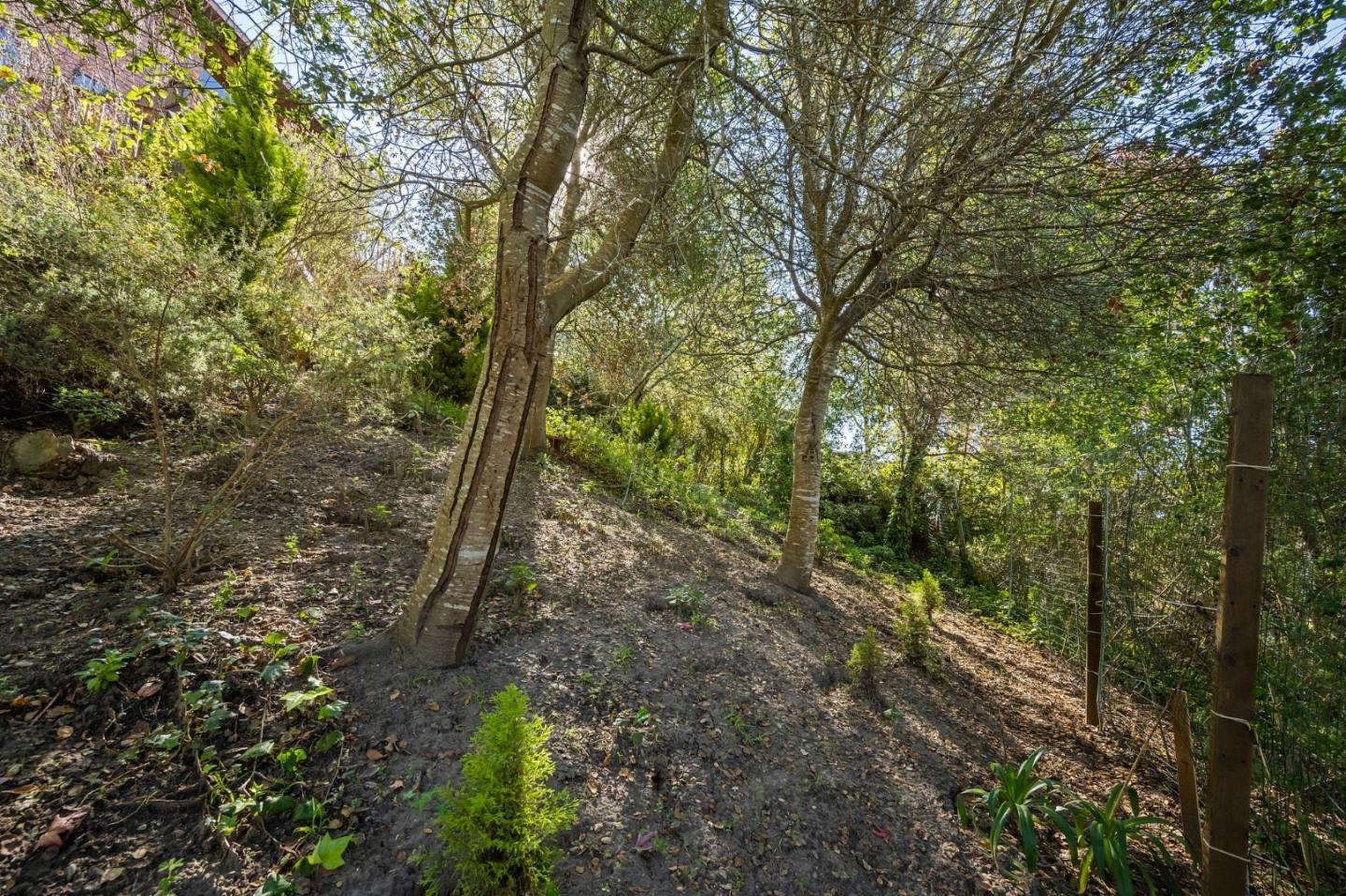 Detail Gallery Image 60 of 62 For 509 Woodhaven Ct, Aptos,  CA 95003 - 3 Beds | 2/1 Baths