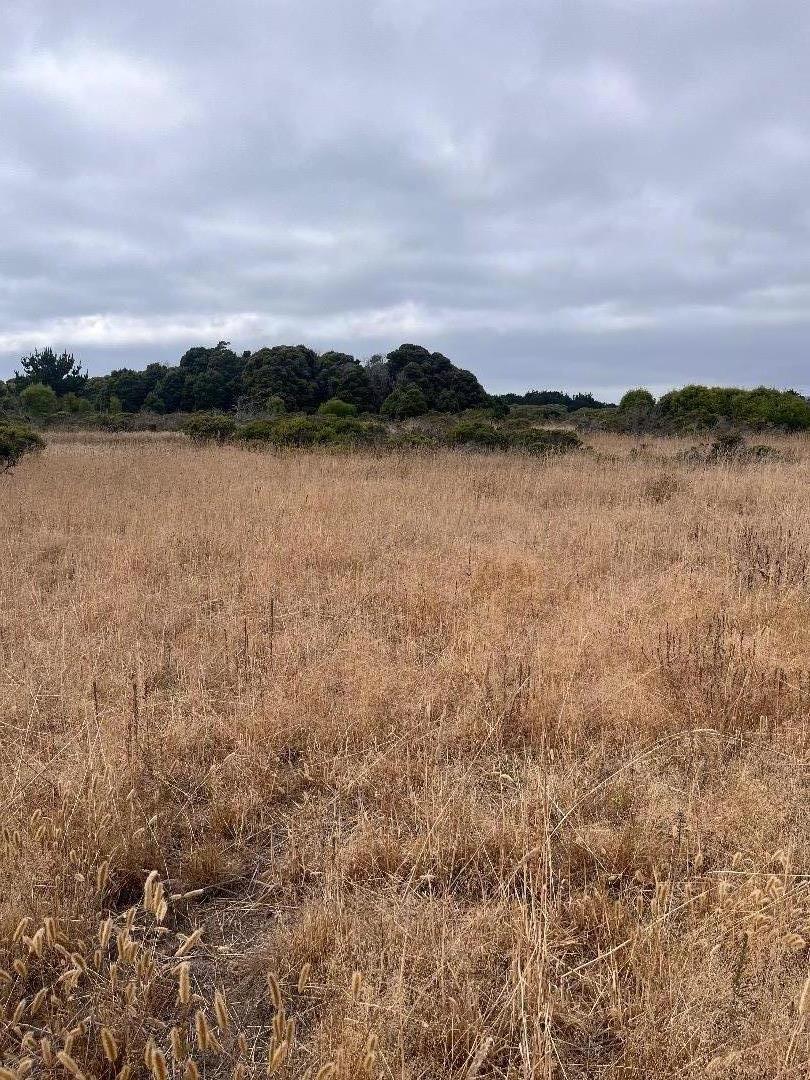110 Dolores Avenue, Half Moon Bay, California 94019, ,Land,For Sale,110 Dolores Avenue,ML81980533