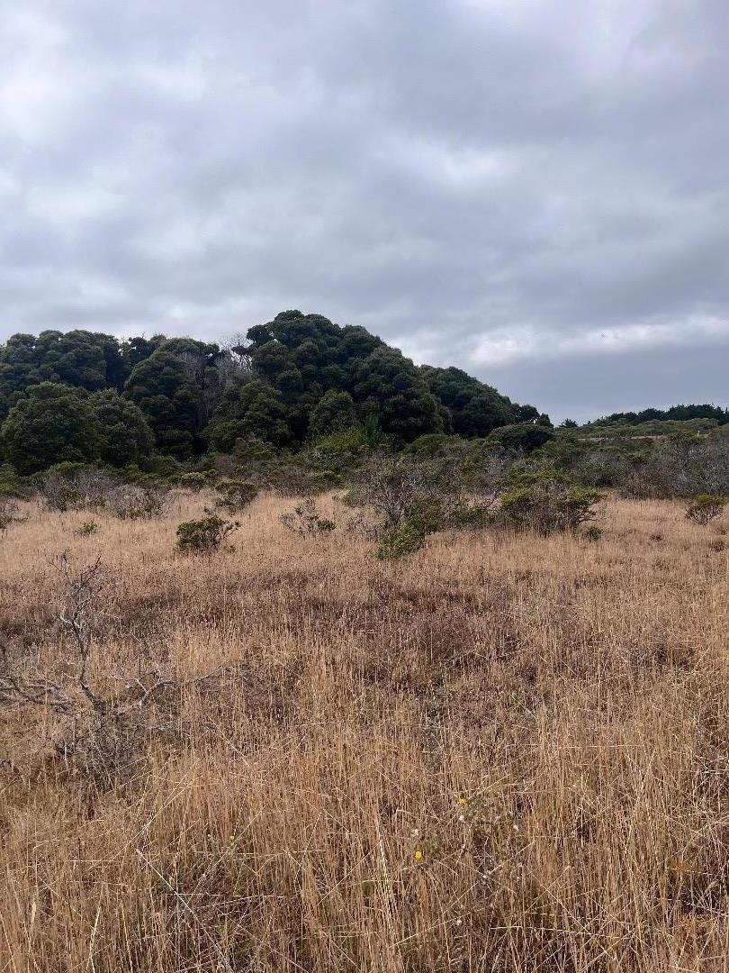 110 Dolores Avenue, Half Moon Bay, California 94019, ,Land,For Sale,110 Dolores Avenue,ML81980533