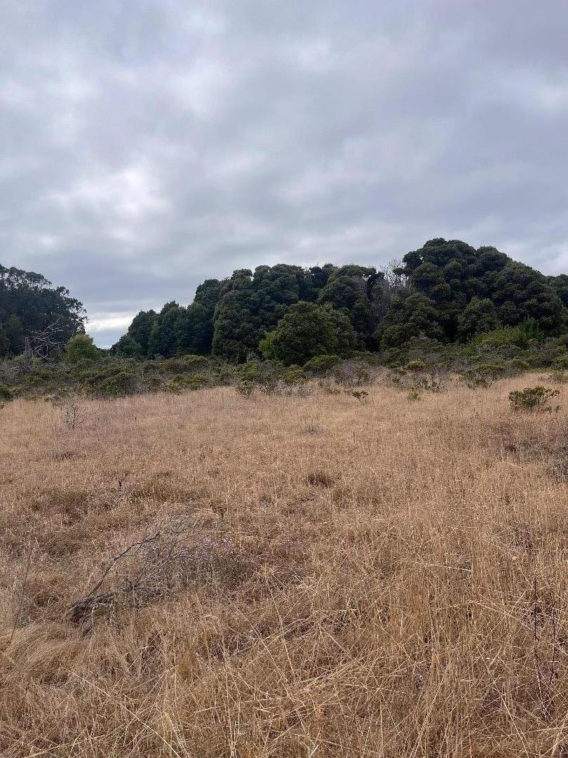 110 Dolores Avenue, Half Moon Bay, California 94019, ,Land,For Sale,110 Dolores Avenue,ML81980533