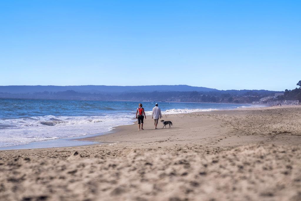 Detail Gallery Image 50 of 50 For 830 via Gaviota, Aptos,  CA 95003 - 3 Beds | 3/1 Baths