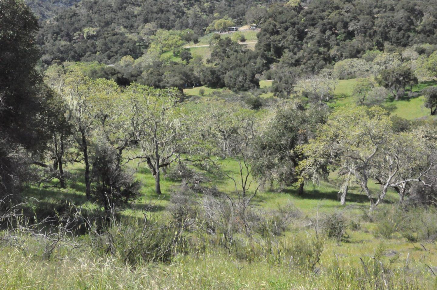 Detail Gallery Image 4 of 14 For 190 Cachagua Rd, Carmel Valley,  CA 93924 - – Beds | – Baths