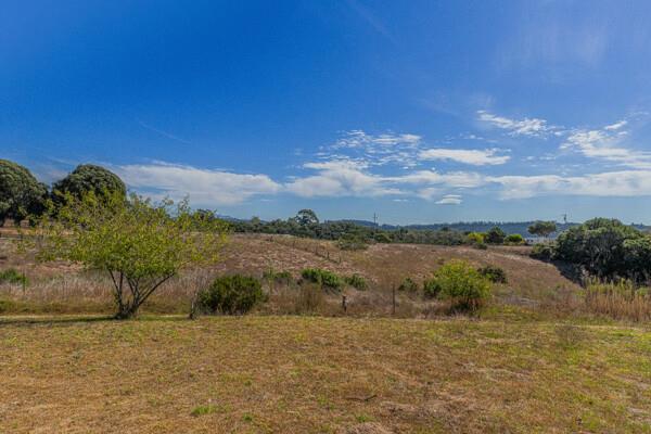 Detail Gallery Image 23 of 30 For 118 Paddon Rd, Royal Oaks,  CA 95076 - 2 Beds | 1 Baths