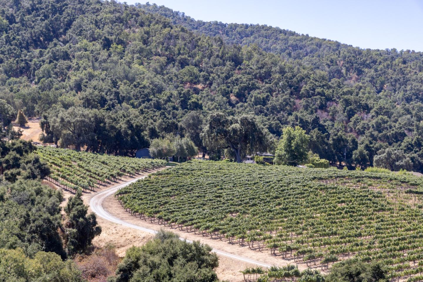 Detail Gallery Image 30 of 51 For 20300 Cachagua Rd, Carmel Valley,  CA 93924 - – Beds | – Baths
