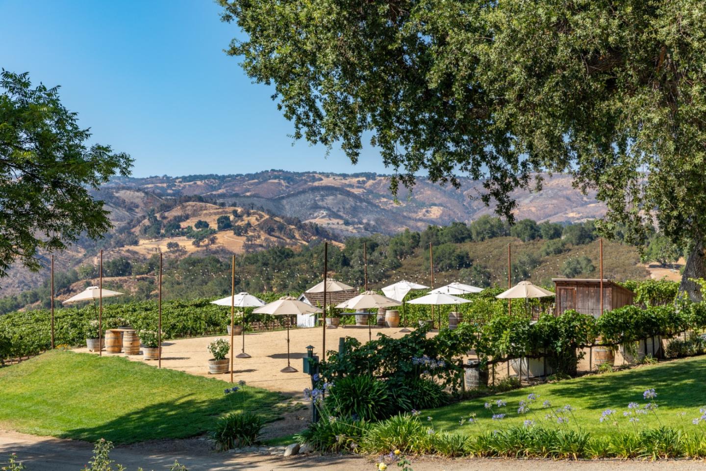Detail Gallery Image 31 of 51 For 20300 Cachagua Rd, Carmel Valley,  CA 93924 - – Beds | – Baths