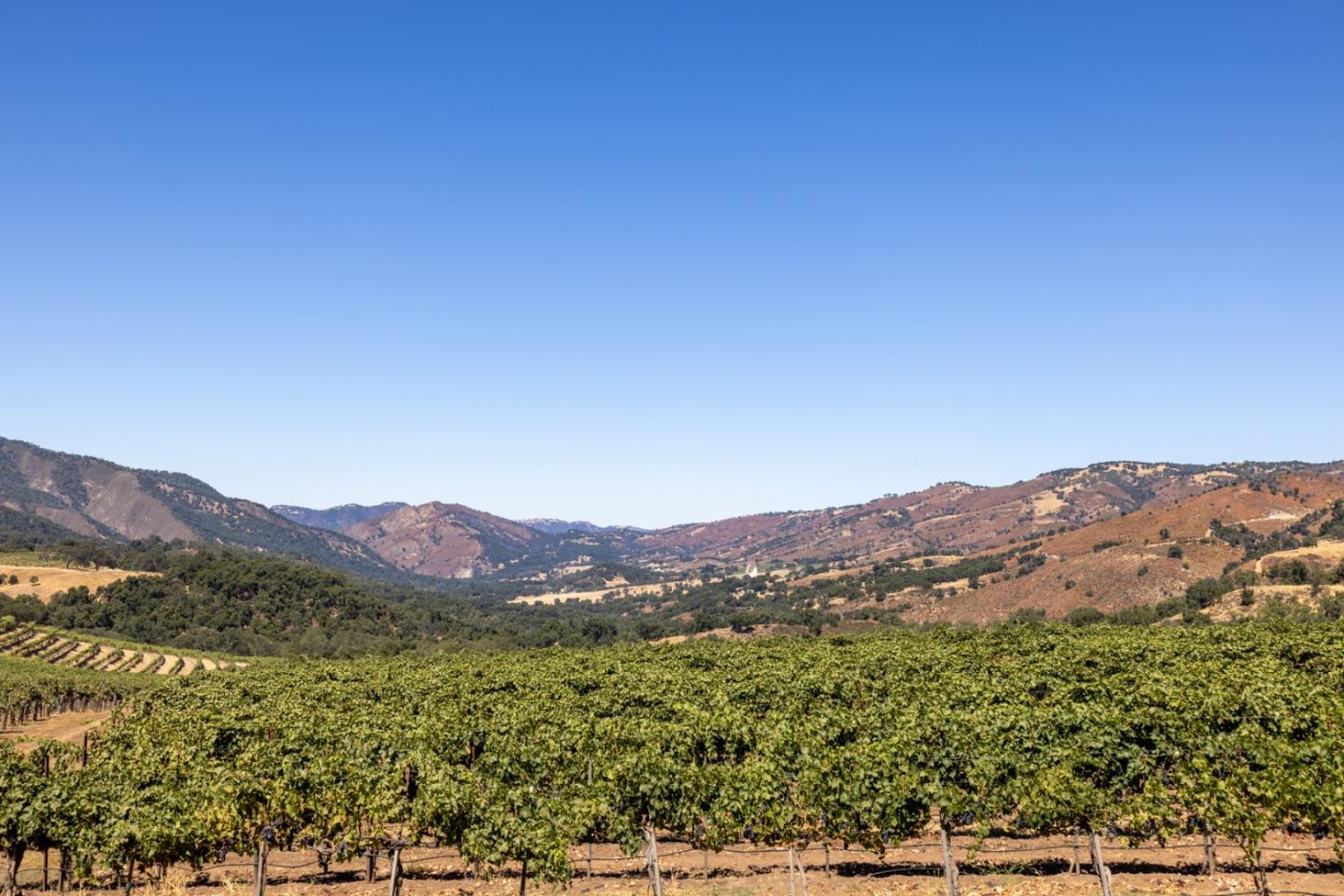 Detail Gallery Image 32 of 51 For 20300 Cachagua Rd, Carmel Valley,  CA 93924 - – Beds | – Baths