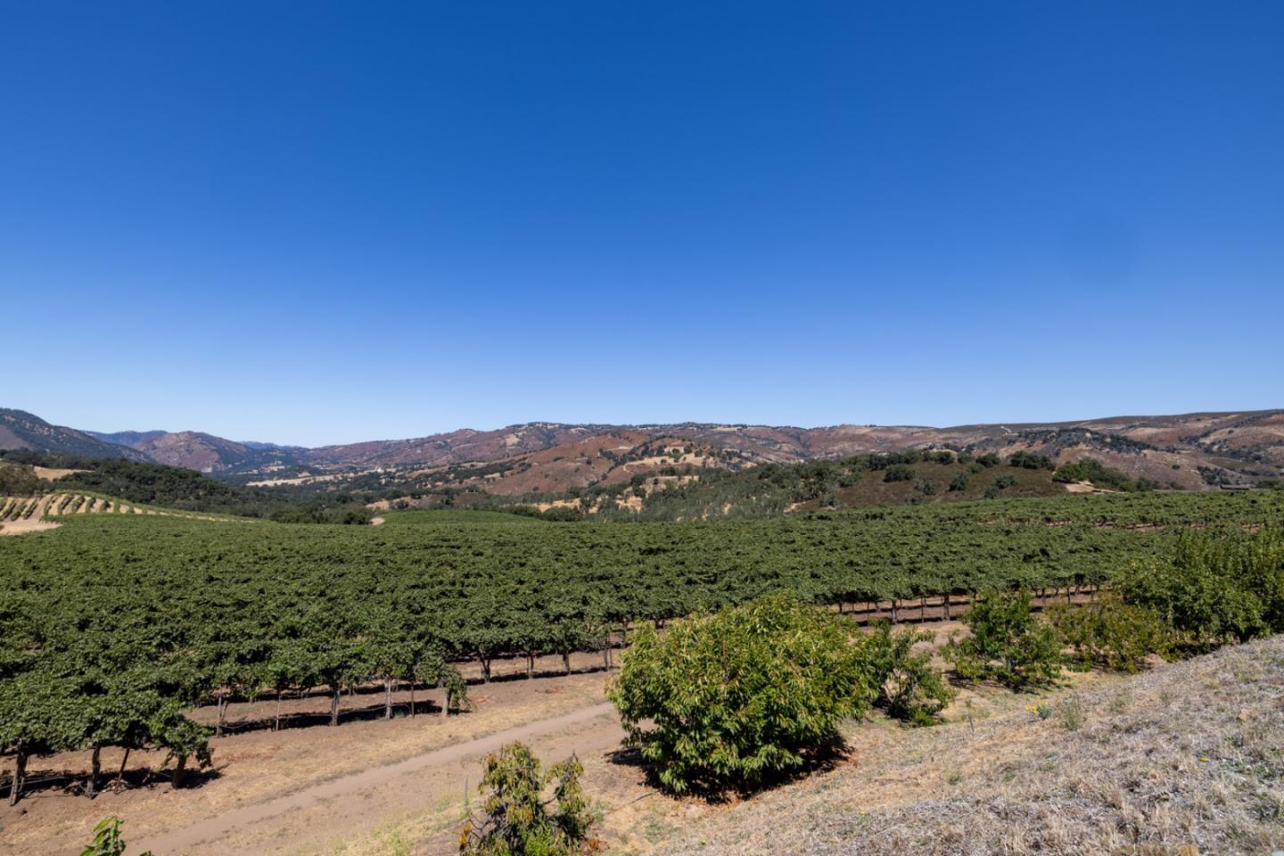 Detail Gallery Image 36 of 51 For 20300 Cachagua Rd, Carmel Valley,  CA 93924 - – Beds | – Baths