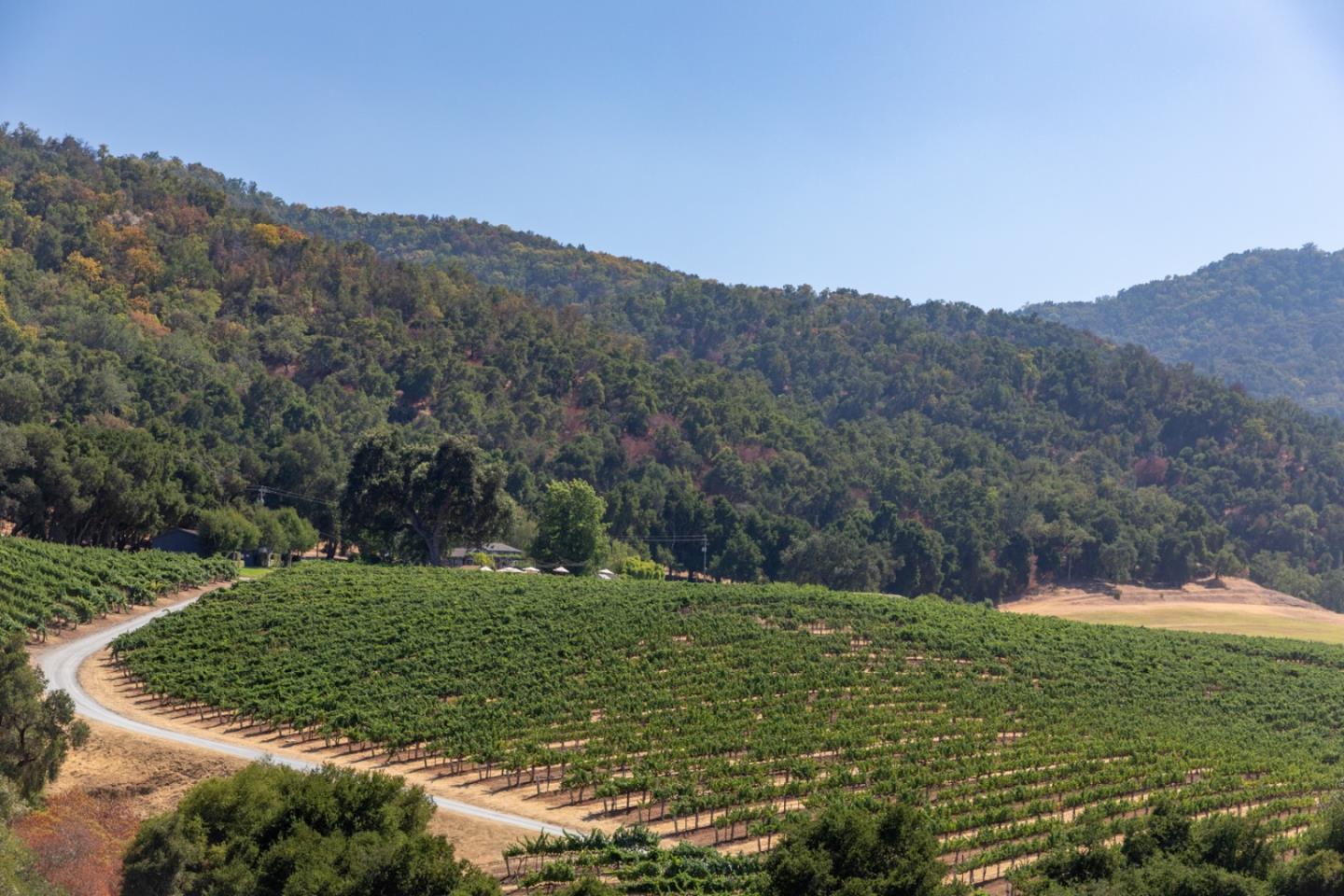 Detail Gallery Image 37 of 51 For 20300 Cachagua Rd, Carmel Valley,  CA 93924 - – Beds | – Baths