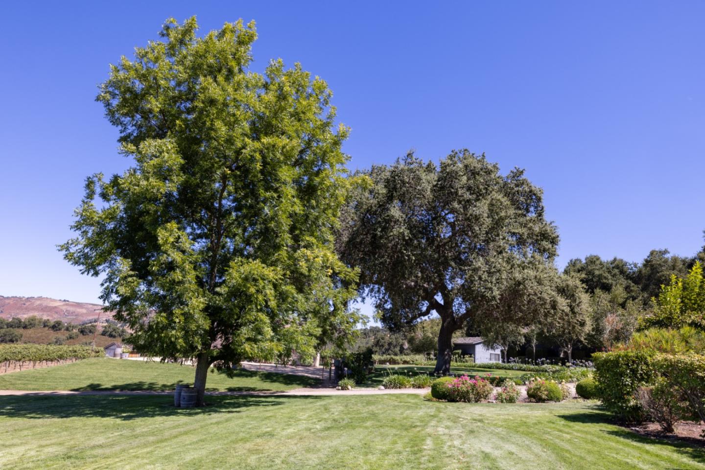 Detail Gallery Image 39 of 51 For 20300 Cachagua Rd, Carmel Valley,  CA 93924 - – Beds | – Baths