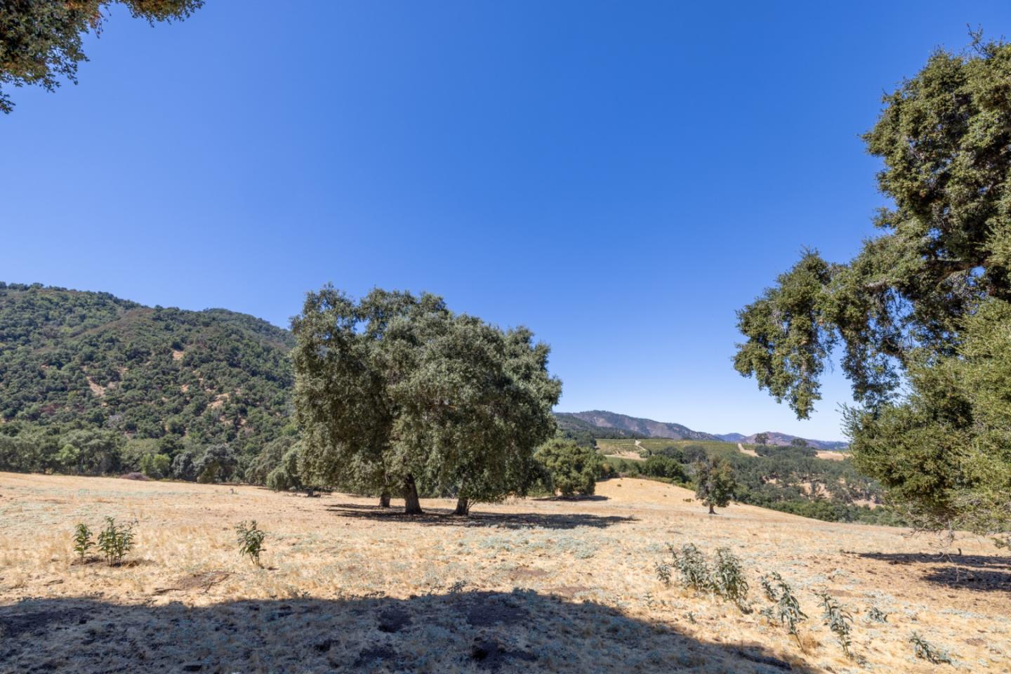 Detail Gallery Image 40 of 51 For 20300 Cachagua Rd, Carmel Valley,  CA 93924 - – Beds | – Baths