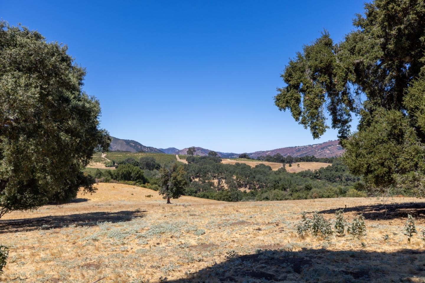 Detail Gallery Image 41 of 51 For 20300 Cachagua Rd, Carmel Valley,  CA 93924 - – Beds | – Baths