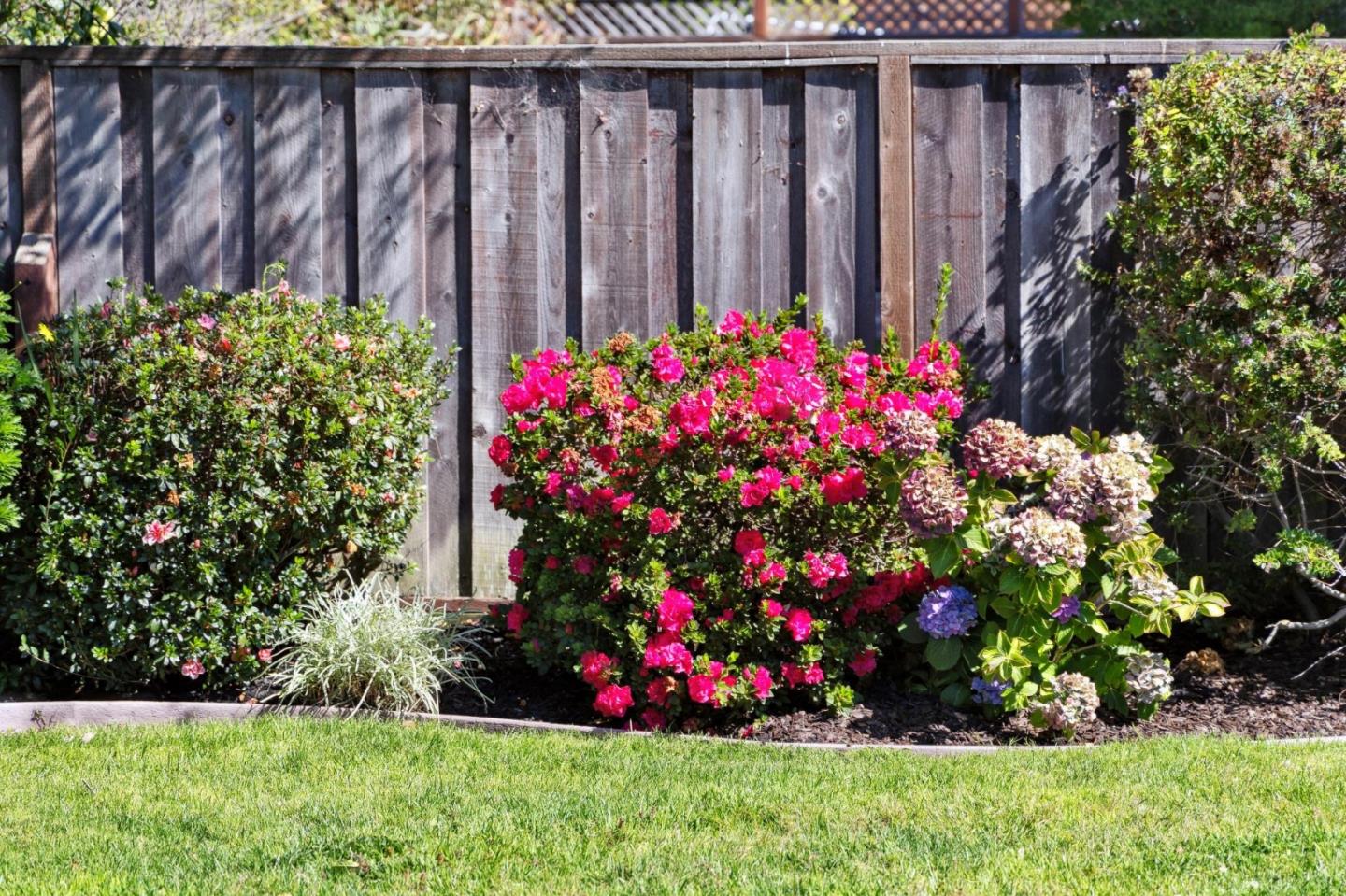 Detail Gallery Image 47 of 53 For 797 Marlin Ave, Foster City,  CA 94404 - 3 Beds | 2 Baths