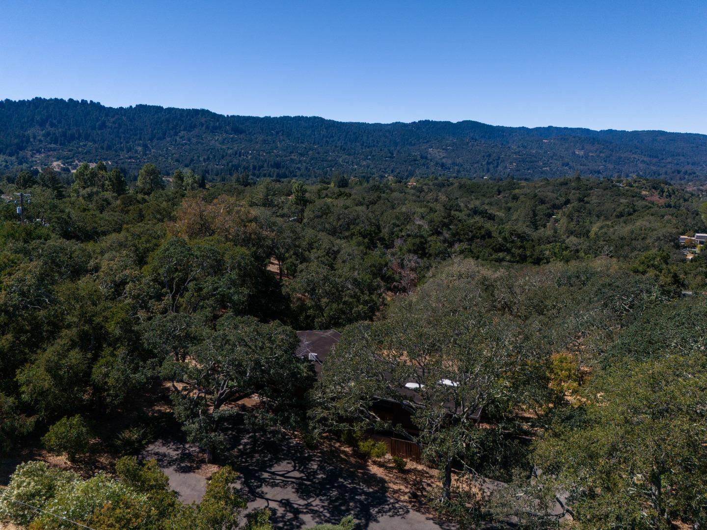 Detail Gallery Image 12 of 34 For 391 Golden Hills Dr, Portola Valley,  CA 94028 - 4 Beds | 2/1 Baths