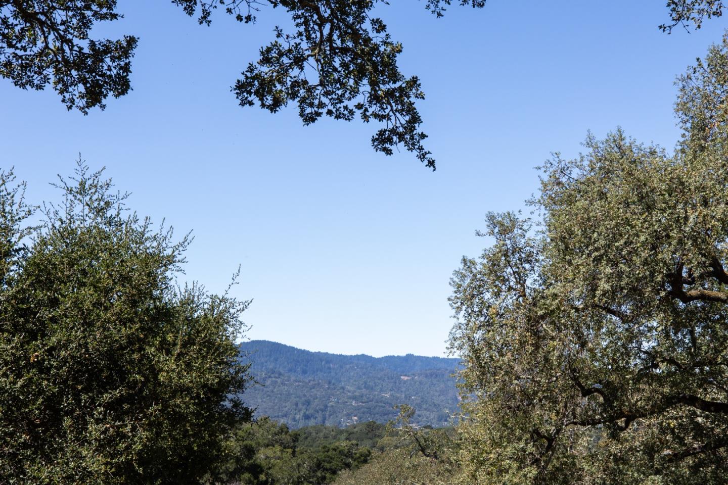 Detail Gallery Image 14 of 34 For 391 Golden Hills Dr, Portola Valley,  CA 94028 - 4 Beds | 2/1 Baths