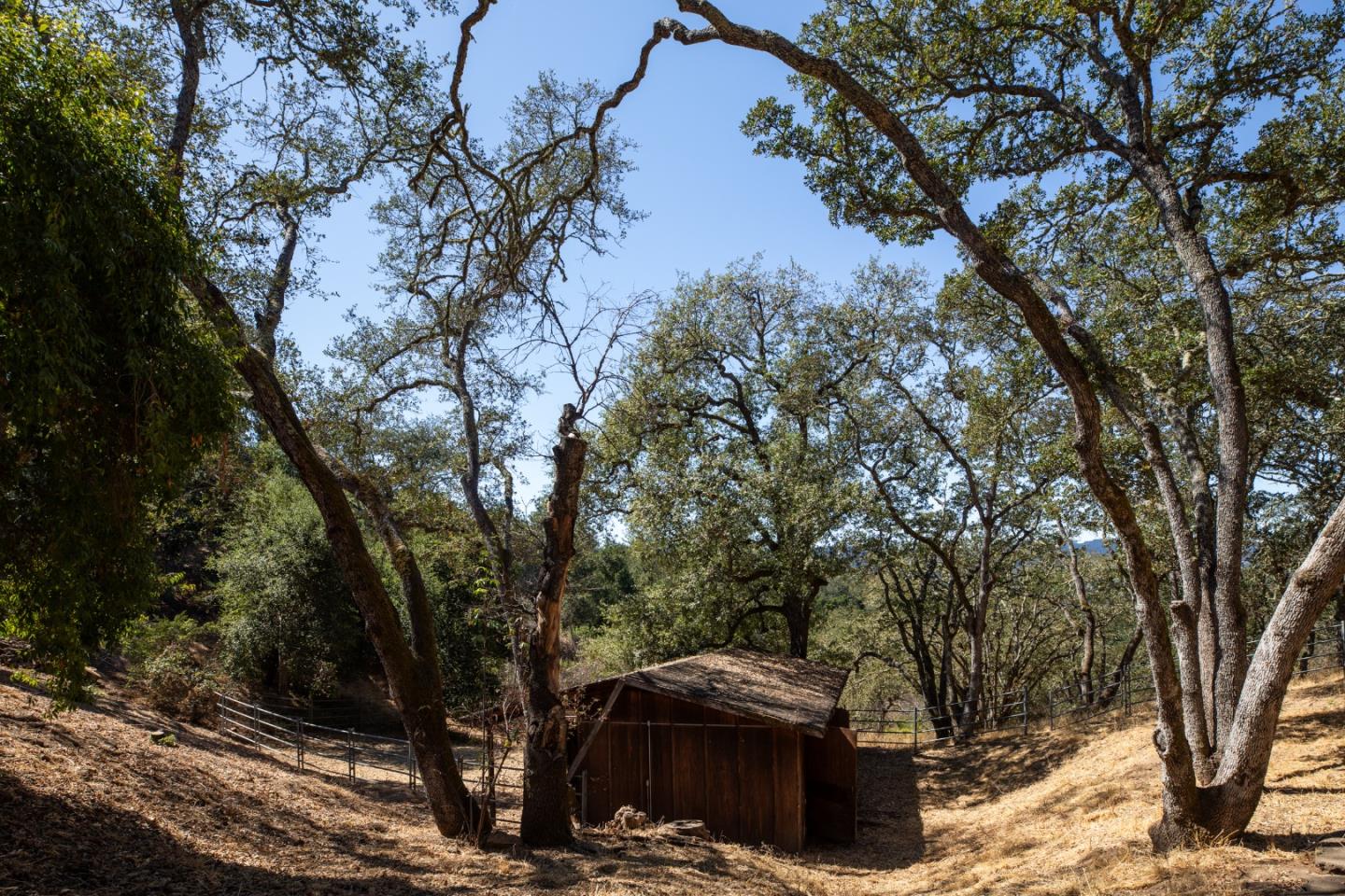 Detail Gallery Image 16 of 34 For 391 Golden Hills Dr, Portola Valley,  CA 94028 - 4 Beds | 2/1 Baths