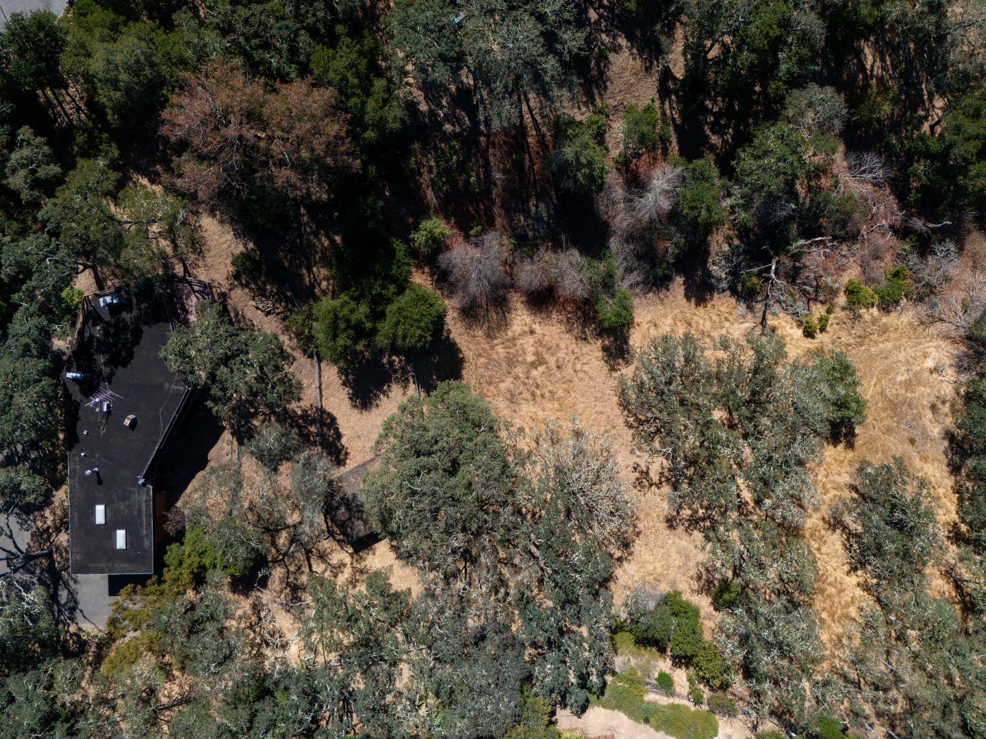 Detail Gallery Image 30 of 34 For 391 Golden Hills Dr, Portola Valley,  CA 94028 - 4 Beds | 2/1 Baths