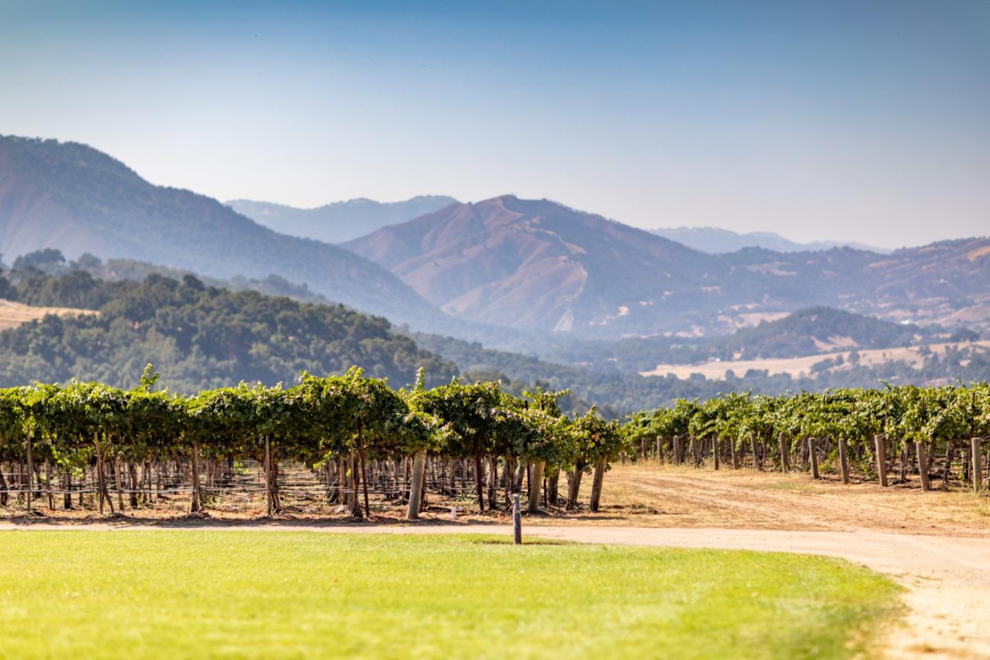 Detail Gallery Image 42 of 53 For 20300 Cachagua, Carmel Valley,  CA 93924 - 3 Beds | 3 Baths